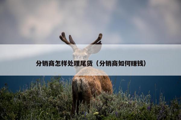 分销商怎样处理尾货（分销商如何赚钱）