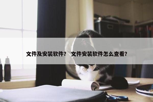 文件及安装软件？ 文件安装软件怎么查看？