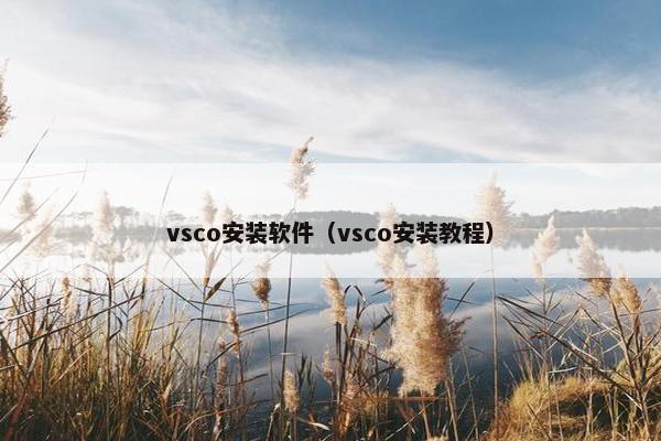 vsco安装软件（vsco安装教程）