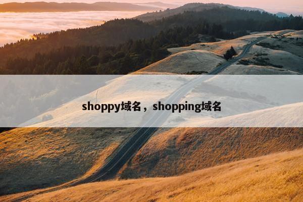 shoppy域名，shopping域名
