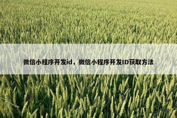 微信小程序开发id，微信小程序开发ID获取方法