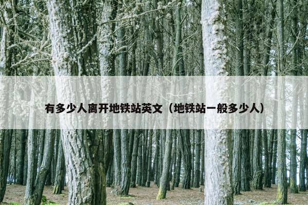 有多少人离开地铁站英文（地铁站一般多少人）