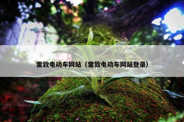 雷致电动车网站（雷致电动车网站登录）