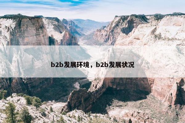 b2b发展环境，b2b发展状况