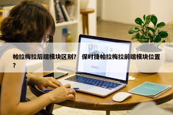 帕拉梅拉后端模块区别？ 保时捷帕拉梅拉前端模块位置？