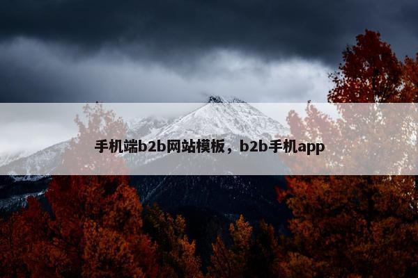 手机端b2b网站模板，b2b手机app