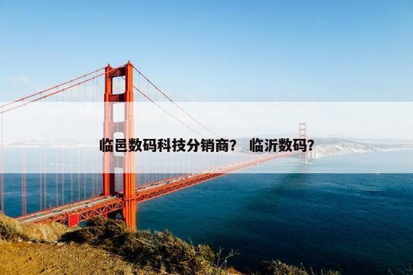 临邑数码科技分销商？ 临沂数码？