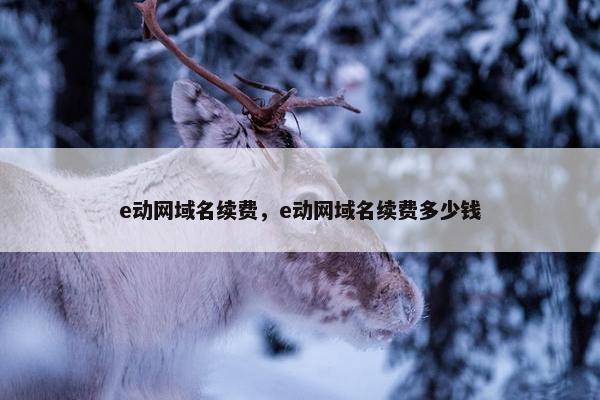 e动网域名续费，e动网域名续费多少钱