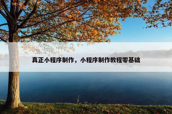 真正小程序制作，小程序制作教程零基础