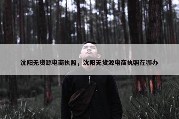 沈阳无货源电商执照，沈阳无货源电商执照在哪办