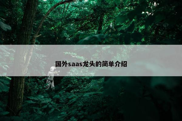 国外saas龙头的简单介绍