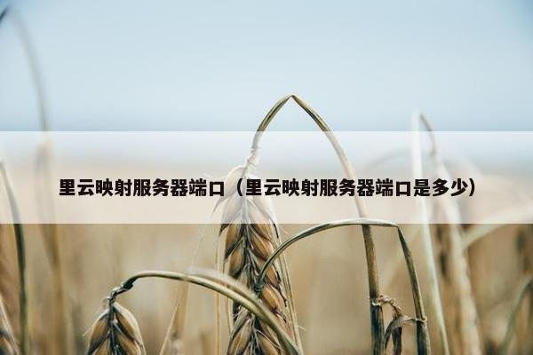 里云映射服务器端口（里云映射服务器端口是多少）