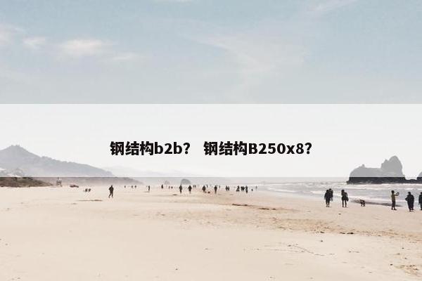 钢结构b2b？ 钢结构B250x8？