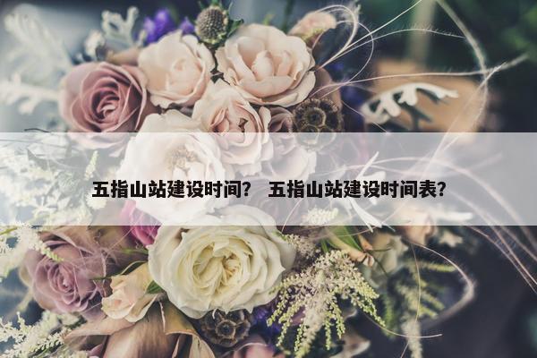 五指山站建设时间？ 五指山站建设时间表？