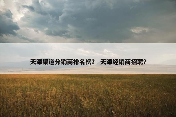天津渠道分销商排名榜？ 天津经销商招聘？