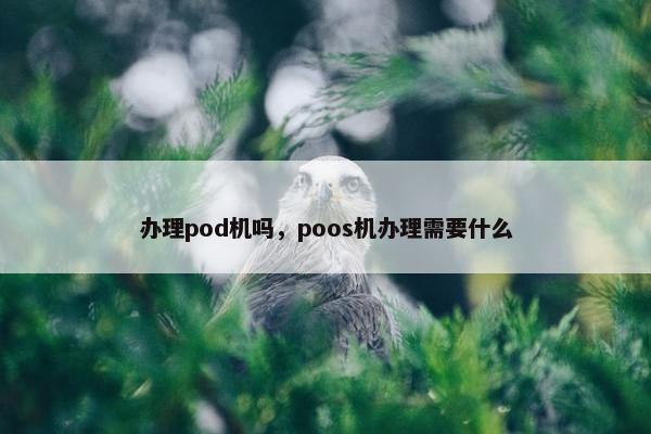 办理pod机吗，poos机办理需要什么