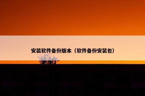 安装软件备份版本（软件备份安装包）