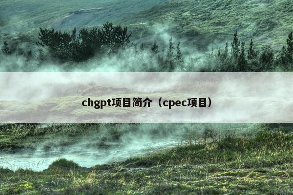 chgpt项目简介（cpec项目）