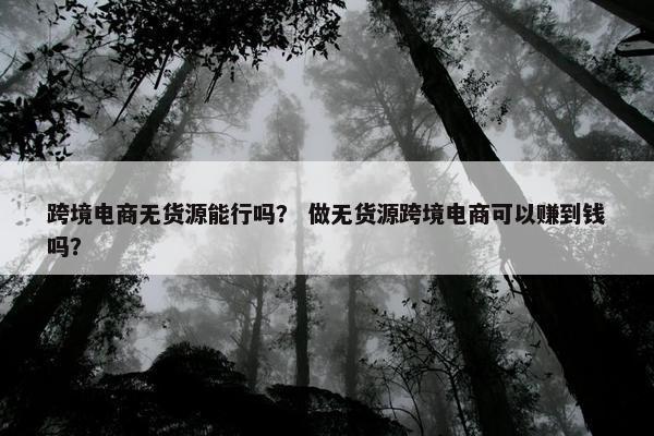 跨境电商无货源能行吗？ 做无货源跨境电商可以赚到钱吗？