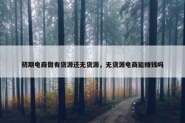 初期电商做有货源还无货源，无货源电商能赚钱吗