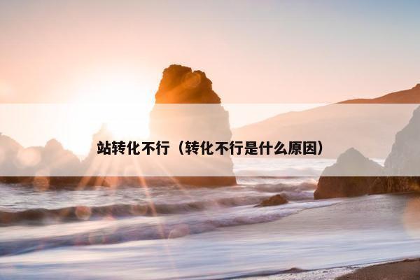 站转化不行（转化不行是什么原因）
