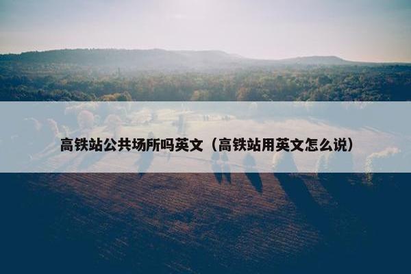 高铁站公共场所吗英文（高铁站用英文怎么说）