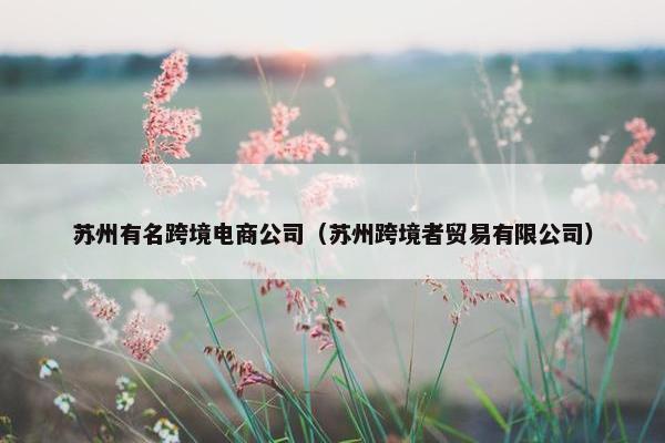 苏州有名跨境电商公司（苏州跨境者贸易有限公司）