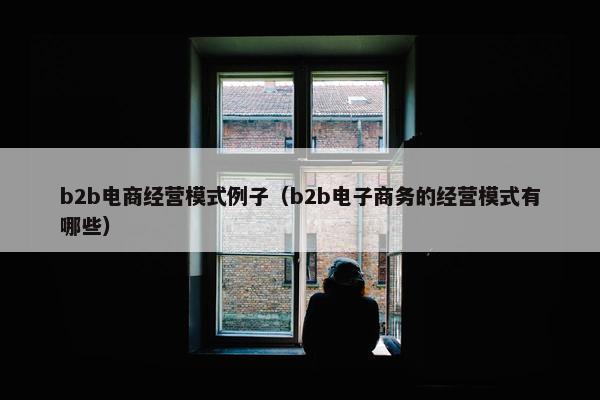 b2b电商经营模式例子（b2b电子商务的经营模式有哪些）