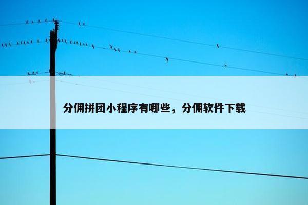 分佣拼团小程序有哪些，分佣软件下载