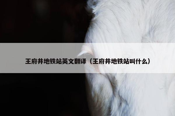 王府井地铁站英文翻译（王府井地铁站叫什么）