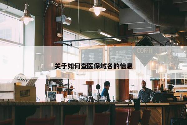 关于如何查医保域名的信息