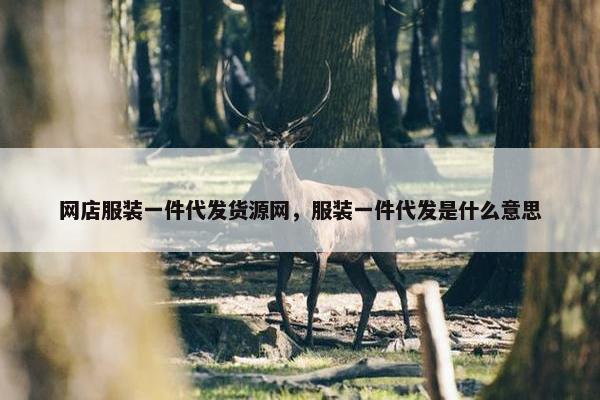 网店服装一件代发货源网，服装一件代发是什么意思