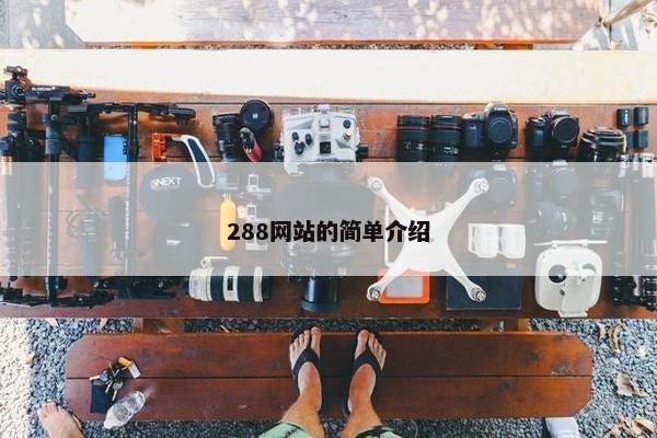 288网站的简单介绍