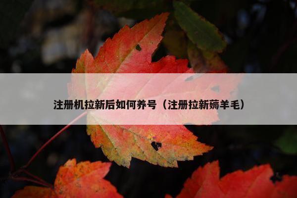 注册机拉新后如何养号（注册拉新薅羊毛）