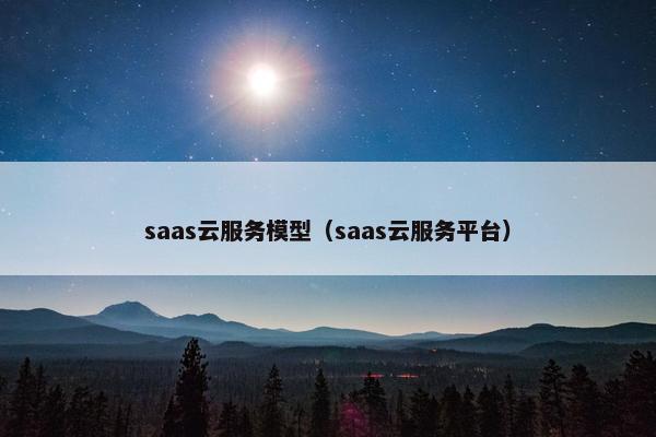 saas云服务模型（saas云服务平台）