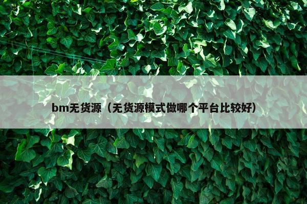 bm无货源（无货源模式做哪个平台比较好）