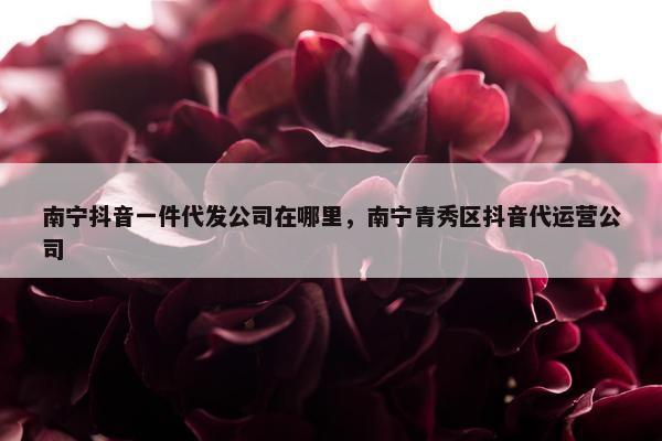 南宁抖音一件代发公司在哪里，南宁青秀区抖音代运营公司