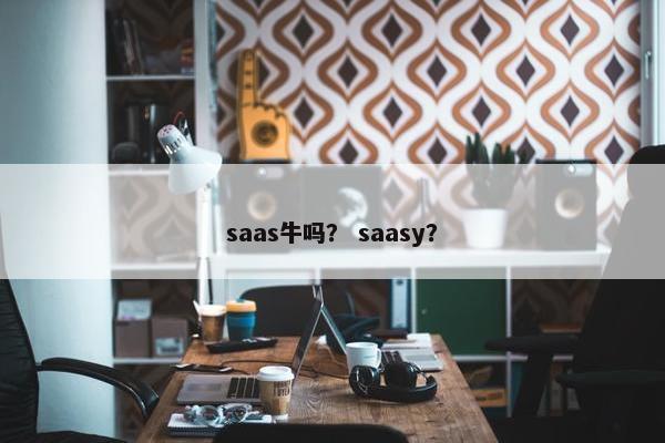 saas牛吗？ saasy？