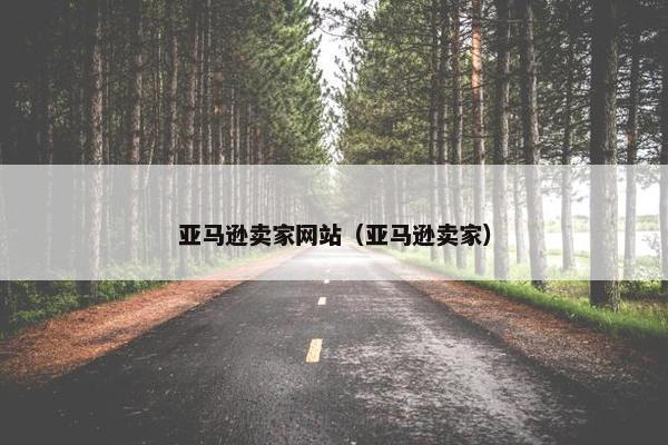 亚马逊卖家网站（亚马逊卖家）