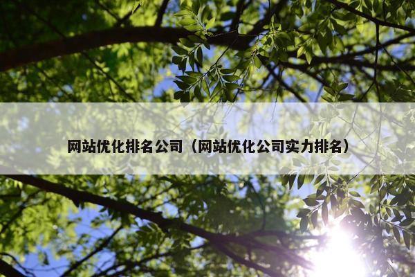 网站优化排名公司（网站优化公司实力排名）