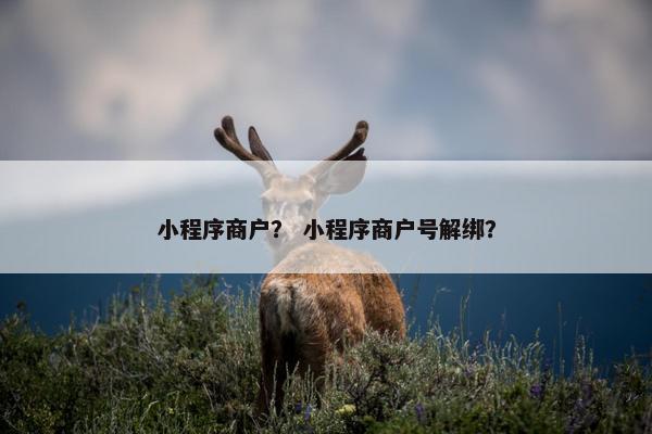 小程序商户？ 小程序商户号解绑？