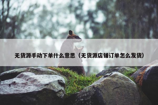 无货源手动下单什么意思（无货源店铺订单怎么发货）