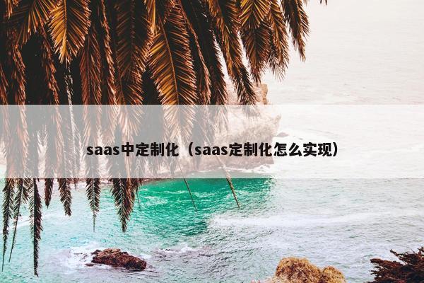 saas中定制化（saas定制化怎么实现）