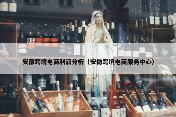安徽跨境电商利润分析（安徽跨境电商服务中心）