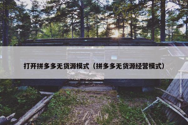 打开拼多多无货源模式（拼多多无货源经营模式）