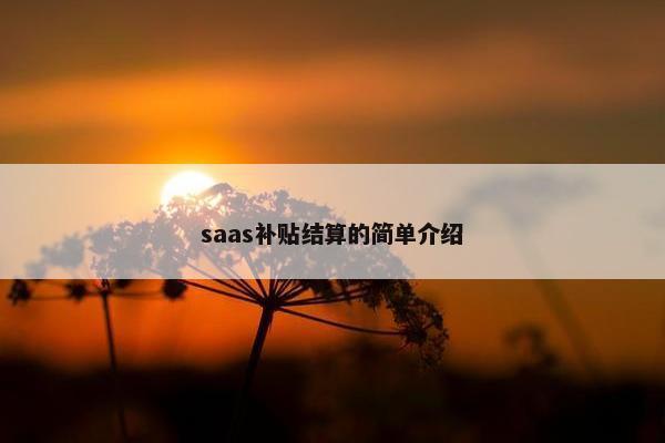 saas补贴结算的简单介绍