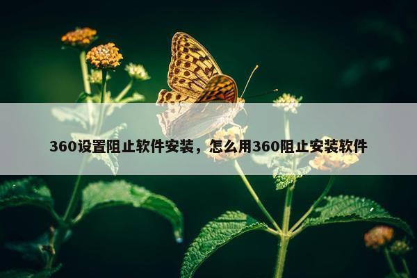 360设置阻止软件安装，怎么用360阻止安装软件
