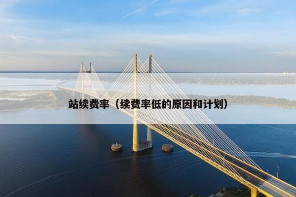 站续费率（续费率低的原因和计划）