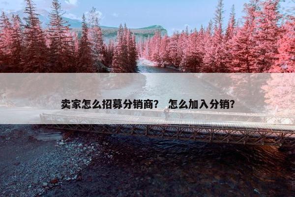 卖家怎么招募分销商？ 怎么加入分销？