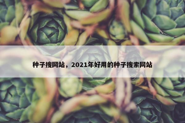 种子搜网站，2021年好用的种子搜索网站